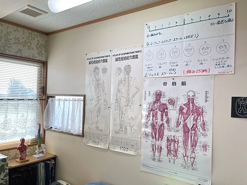 診療案内